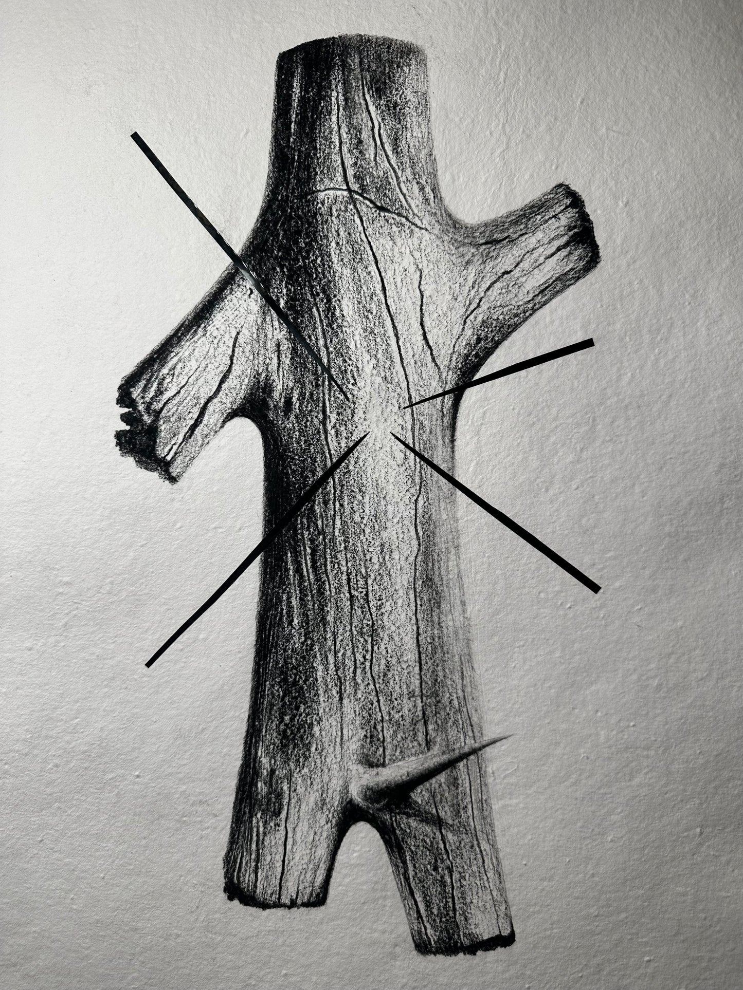 NATURE, THE NEW MARTY